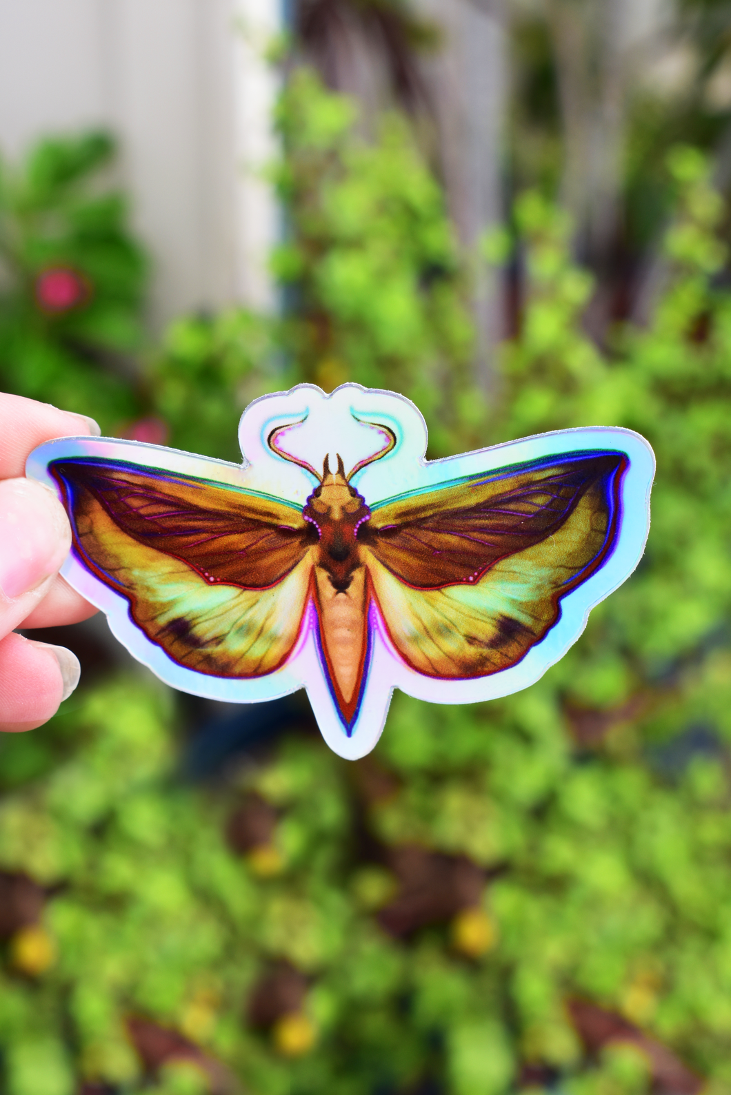 Holographic Moth Sticker