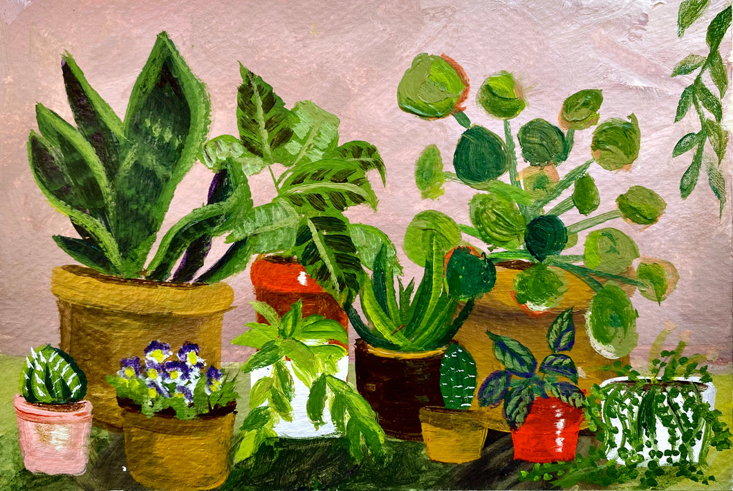 Plants